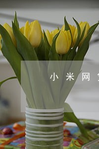 小米网贷逾期一月上征信吗 小米网贷逾期一月上征信吗