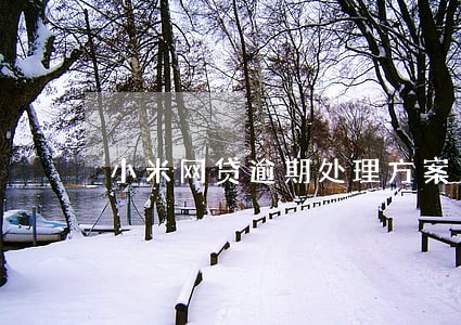 小米网贷逾期处理方案 小米网贷逾期处理方案