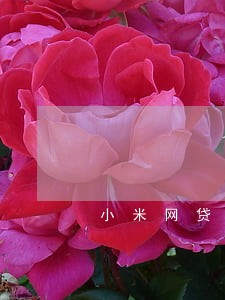 小米网贷逾期电话接不接 小米网贷逾期电话接不接