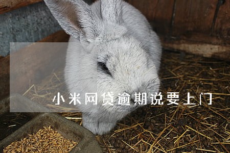 小米网贷逾期说要上门 小米网贷逾期说要上门