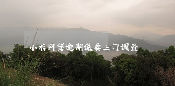 小米网贷逾期说要上门调查 小米网贷逾期说要上门调查