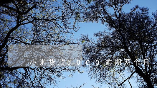 小米货款5000逾期两个月 小米货款5000逾期两个月