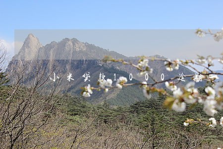 小米贷款1000逾期一个月 小米贷款1000逾期一个月