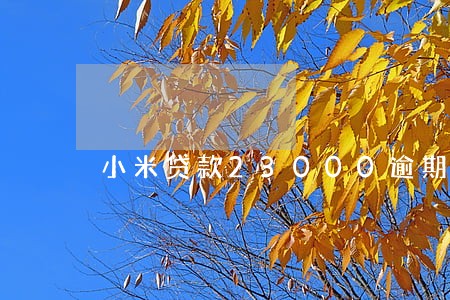 小米贷款23000逾期 小米贷款23000逾期
