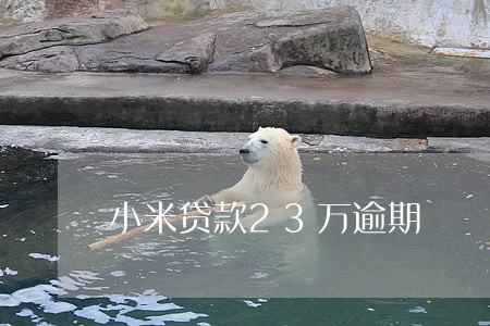 小米贷款23万逾期 小米贷款23万逾期