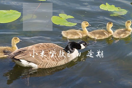 小米贷款2w逾期 小米贷款2w逾期