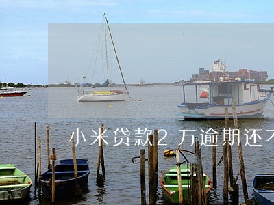 小米贷款2万逾期还不上 小米贷款2万逾期还不上