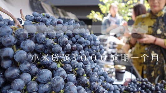 小米贷款3000逾期一个月