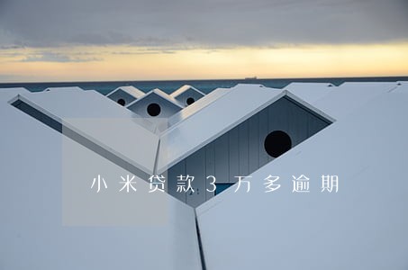 小米贷款3万多逾期 小米贷款3万多逾期