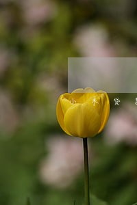小米贷款580逾期了