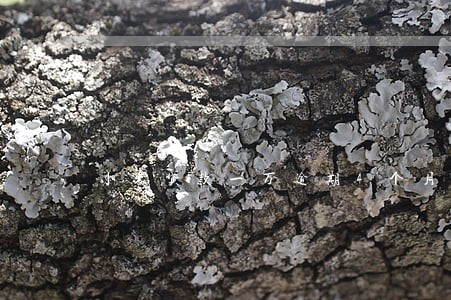 小米贷款一万逾期4个月 小米贷款一万逾期4个月