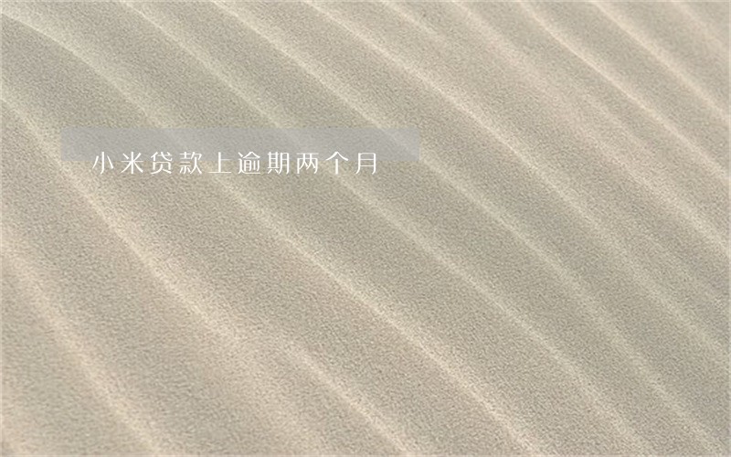 小米贷款上逾期两个月