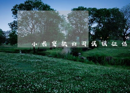 小米贷款公司误报征信逾期