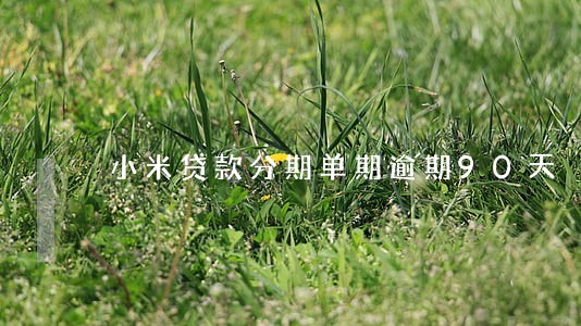 小米贷款分期单期逾期90天 小米贷款分期单期逾期90天
