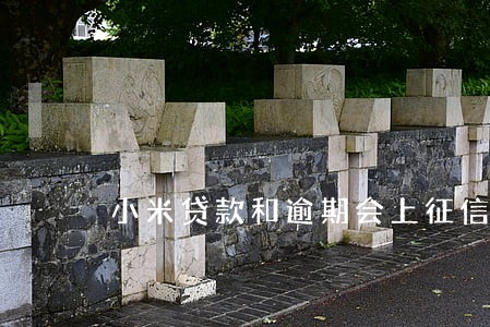 小米贷款和逾期会上征信吗 小米贷款和逾期会上征信吗