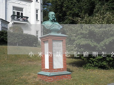 小米贷款忘记逾期怎么办