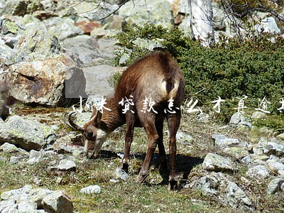小米贷款怎么才算逾期 小米贷款怎么才算逾期