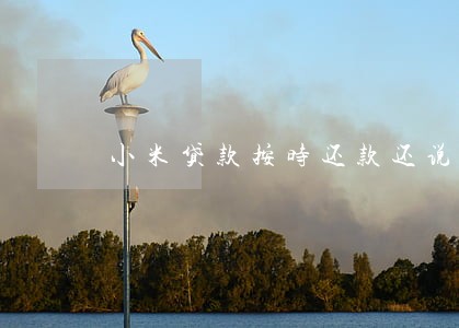 小米贷款按时还款还说逾期 小米贷款按时还款还说逾期