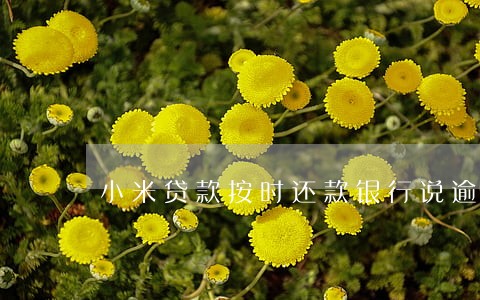小米贷款按时还款银行说逾期 小米贷款按时还款银行说逾期