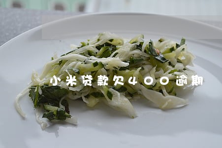 小米贷款欠400逾期 小米贷款欠400逾期