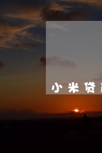 小米贷款经常性逾期几天 小米贷款经常性逾期几天