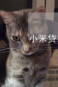 小米贷款还有500逾期一年