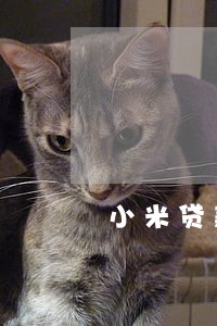 小米贷款逾期1个月上征信 小米贷款逾期1个月上征信