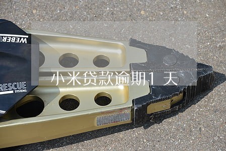 小米贷款逾期1天 小米贷款逾期1天