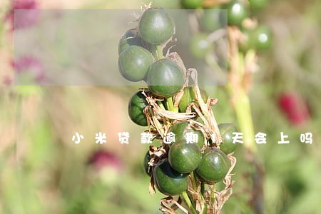 小米贷款逾期1天会上吗 小米贷款逾期1天会上吗