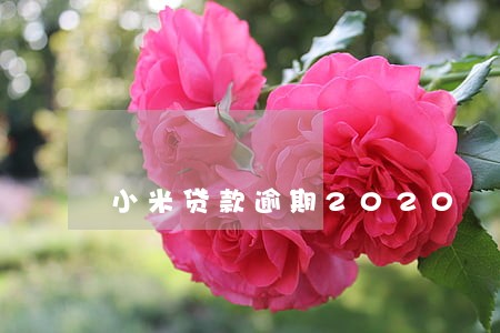 小米贷款逾期2020 小米贷款逾期2020