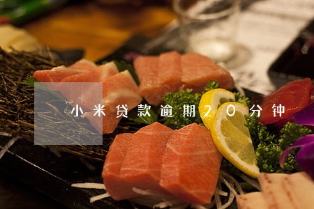 小米贷款逾期20分钟 小米贷款逾期20分钟