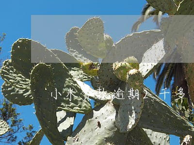 小米贷款逾期2千多 小米贷款逾期2千多