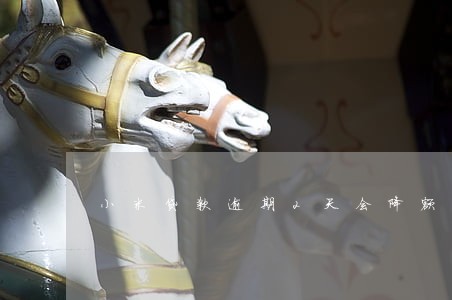 小米贷款逾期2天会降额吗 小米贷款逾期2天会降额吗