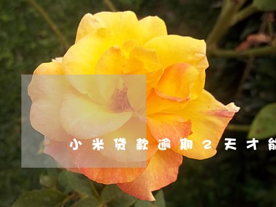 小米贷款逾期2天才能还 小米贷款逾期2天才能还