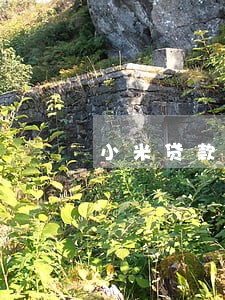 小米贷款逾期2年涨到6万 小米贷款逾期2年涨到6万
