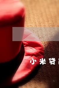 小米贷款逾期30天 小米贷款逾期30天