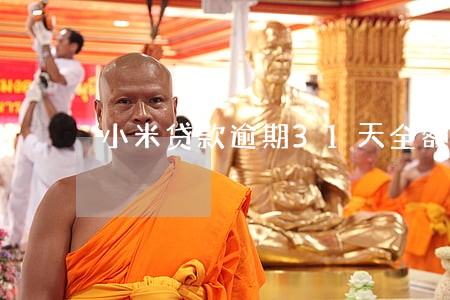 小米贷款逾期31天全额还款 小米贷款逾期31天全额还款