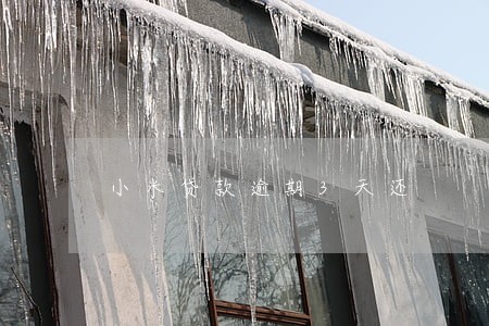 小米贷款逾期3天还 小米贷款逾期3天还