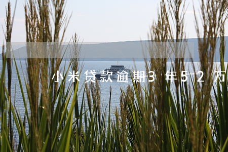 小米贷款逾期3年52万利息 小米贷款逾期3年52万利息