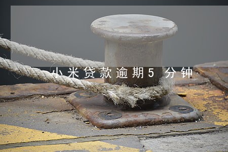 小米贷款逾期5分钟 小米贷款逾期5分钟