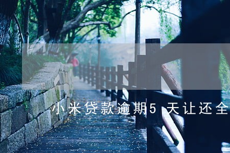 小米贷款逾期5天让还全款 小米贷款逾期5天让还全款
