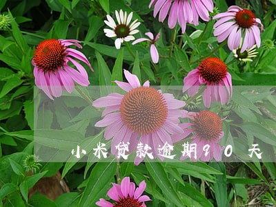 小米贷款逾期90天 小米贷款逾期90天