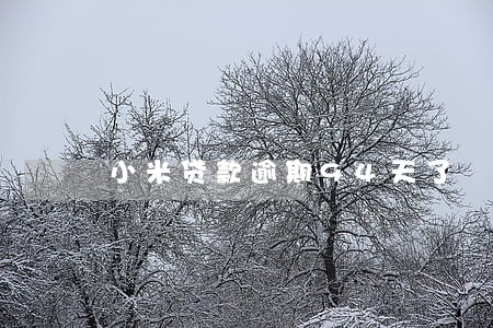 小米贷款逾期94天了 小米贷款逾期94天了