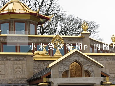 小米贷款逾期p的图片 小米贷款逾期p的图片