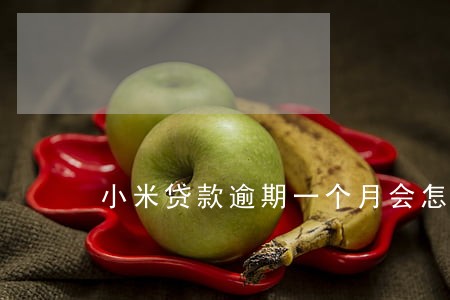 小米贷款逾期一个月会怎么样 小米贷款逾期一个月会怎么样