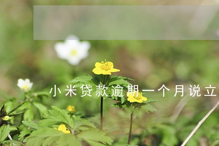 小米贷款逾期一个月说立案了