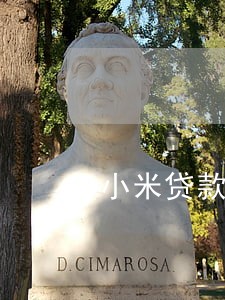小米贷款逾期一天咋办 小米贷款逾期一天咋办