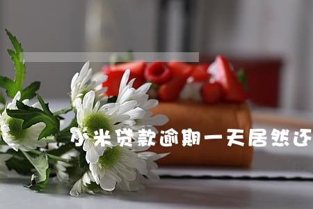 小米贷款逾期一天居然还能借 小米贷款逾期一天居然还能借