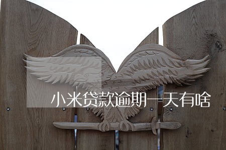 小米贷款逾期一天有啥