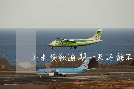 小米贷款逾期一天还能不能借 小米贷款逾期一天还能不能借